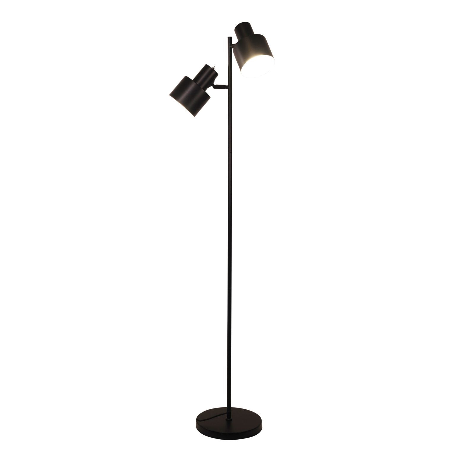 Ari 2 Light Floor Lamp Black With Black Head