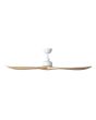 CURRUMBIN 60 DC ceiling fan