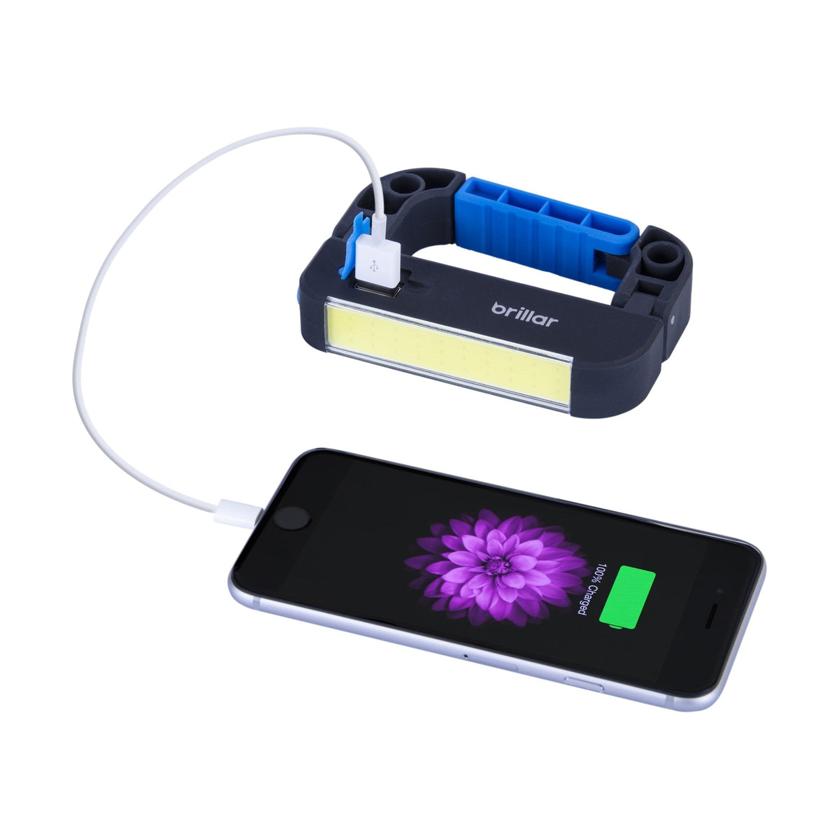 Powerbank Carabiner Torch 2200mAh - Blue