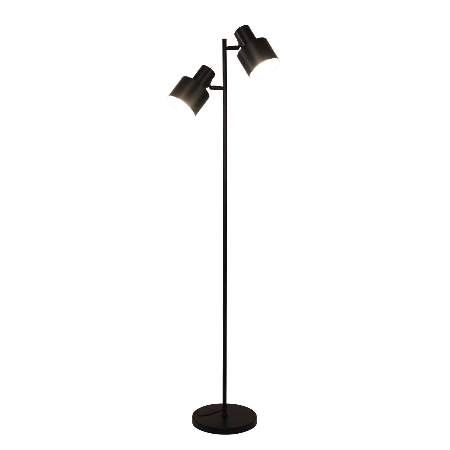 Ari 2 Light Floor Lamp Black With Black Head