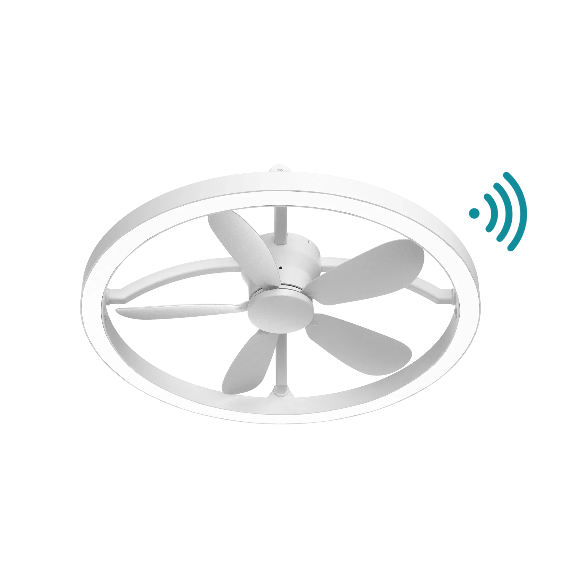 Catalina DC 21″ Smart Ceiling Fan With Remote Control + LED Light