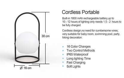 Portable LED ball Decorative Light, AC Charging, 16 RGB Color Changing 26CM Dropli, Decorative Light, a0529034