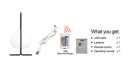 Portable LED ball Decorative Light, AC Charging, 16 RGB Color Changing 26CM Dropli, Decorative Light, a0529034