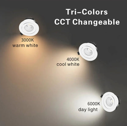 EYRE 13W Tri-Colour Dimmable COB Low-glare Tiltable LED Downlight 90mm Cut Out-LED Downlight-Eclux