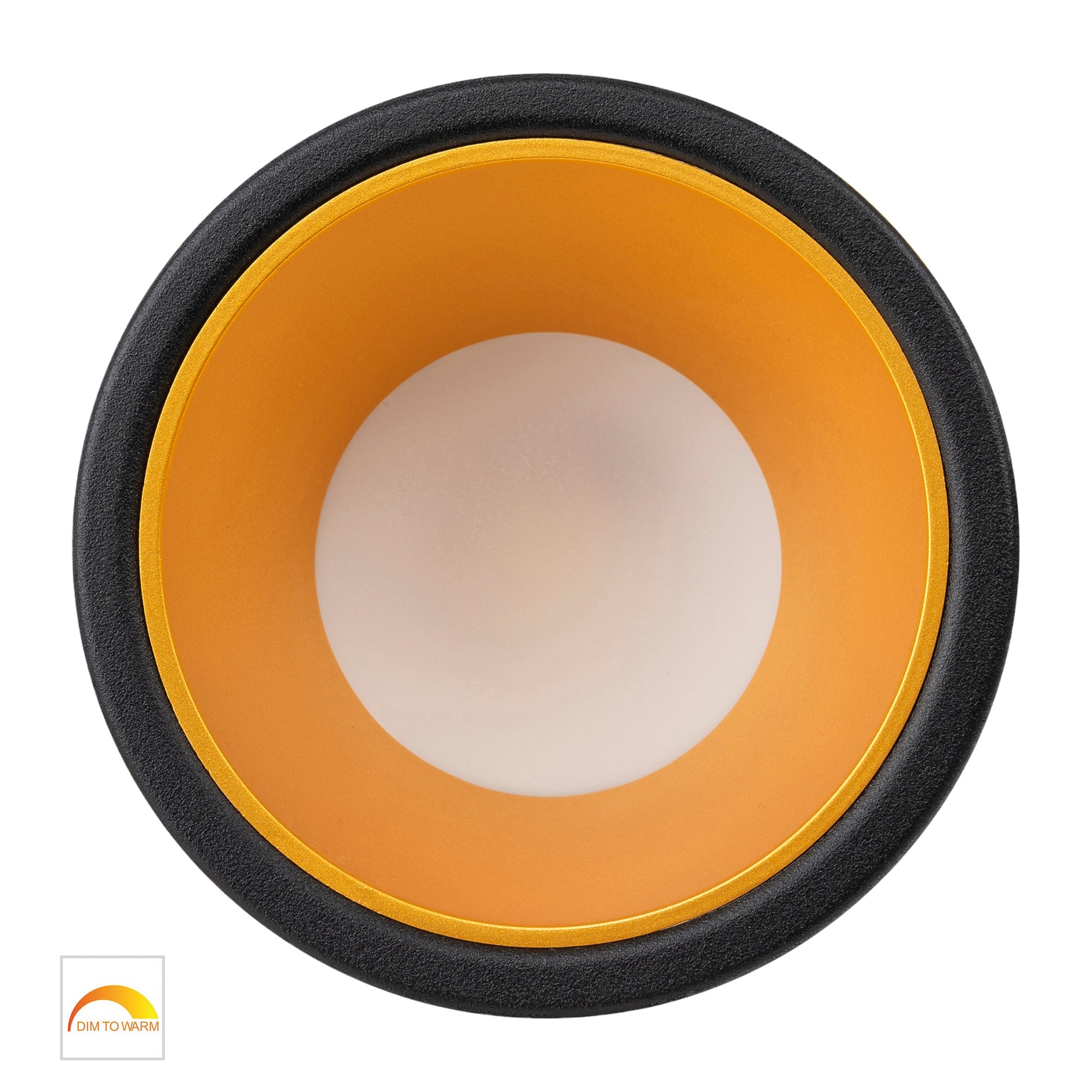 HV5529D2W-BG - Gleam Black with Gold Insert Fixed Dim to Warm LED Downlight