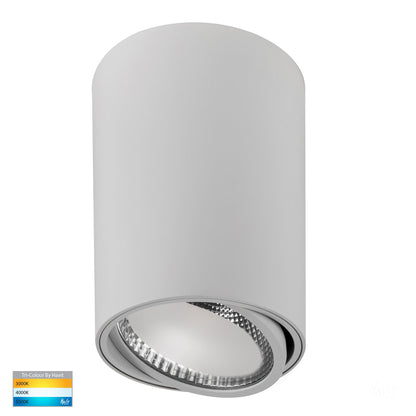 HV5815T-WHT | HV5815T-WHT-12V - Nella 18w LED White Adjustable Surface Mounted Downlight